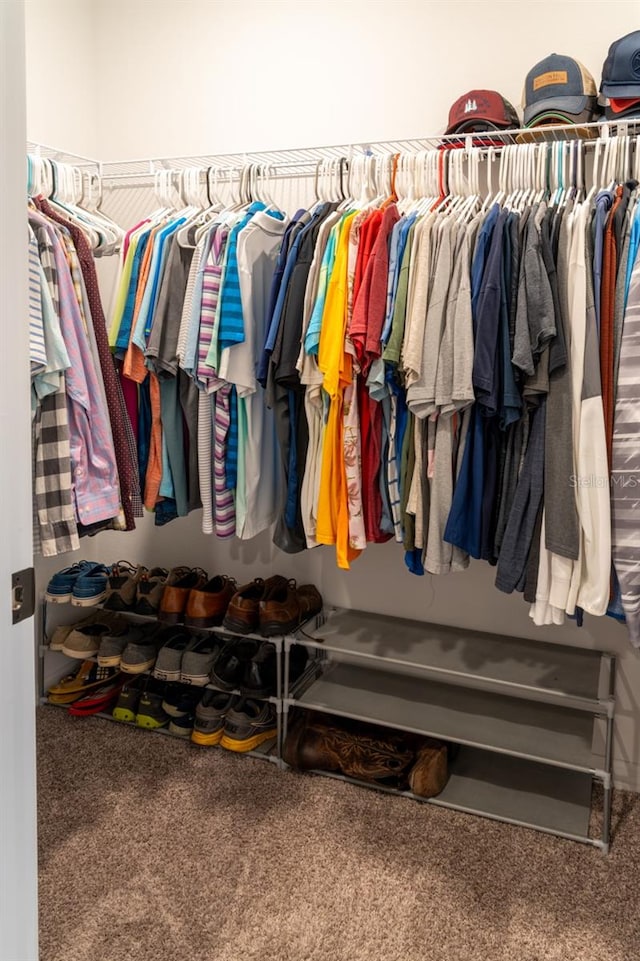 11702 Tetrafin Dr, Riverview, FL 33579 - walk in closet featuring carpet flooring