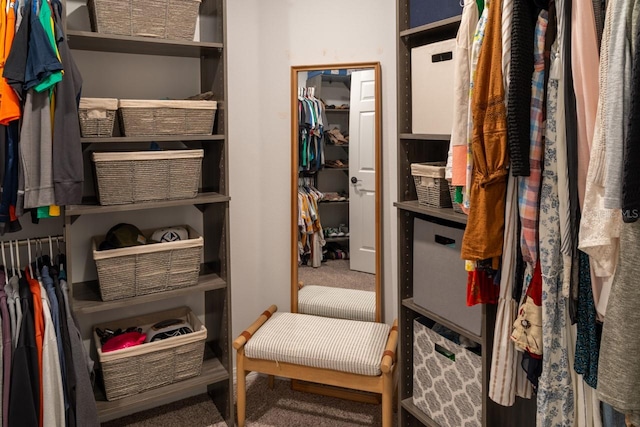 11702 Tetrafin Dr, Riverview, FL 33579 - spacious closet featuring carpet flooring