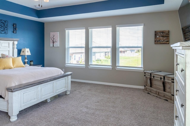 11702 Tetrafin Dr, Riverview, FL 33579 - bedroom featuring light colored carpet, multiple windows, and baseboards