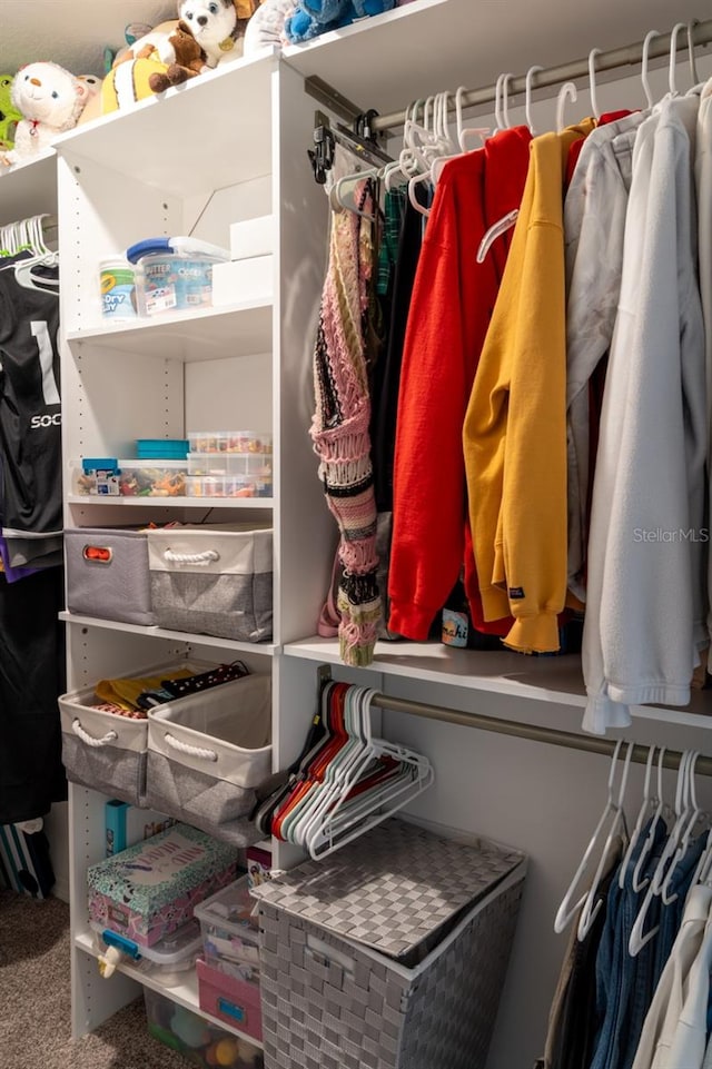 11702 Tetrafin Dr, Riverview, FL 33579 - walk in closet featuring carpet floors