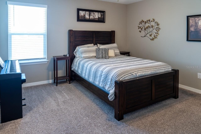 11702 Tetrafin Dr, Riverview, FL 33579 - carpeted bedroom with baseboards