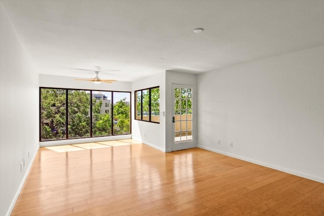 825 S Osprey Ave Unit 302, Sarasota, FL 34236 - spare room with baseboards, ceiling fan, and light wood-type flooring
