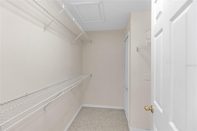 view of walk in closet