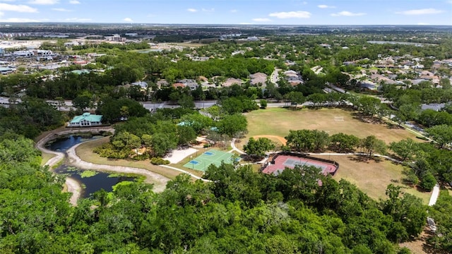 aerial view