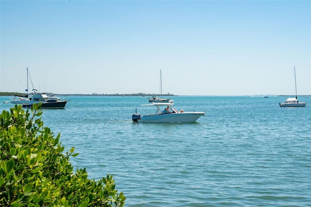 property view of water