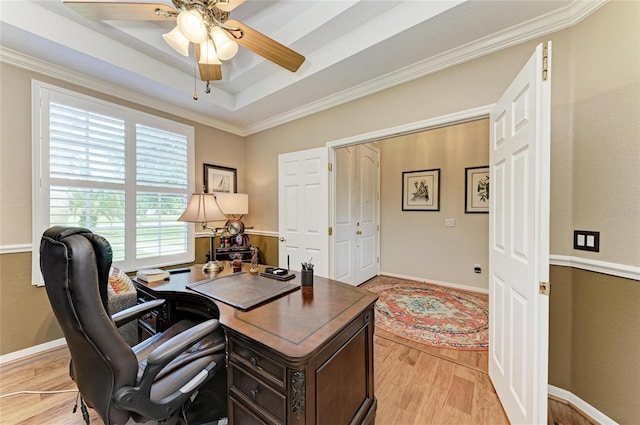 8136 Snowy Egret Pl, Bradenton, FL 34202 - office with a raised ceiling, light wood-style floors, a ceiling fan, and crown molding