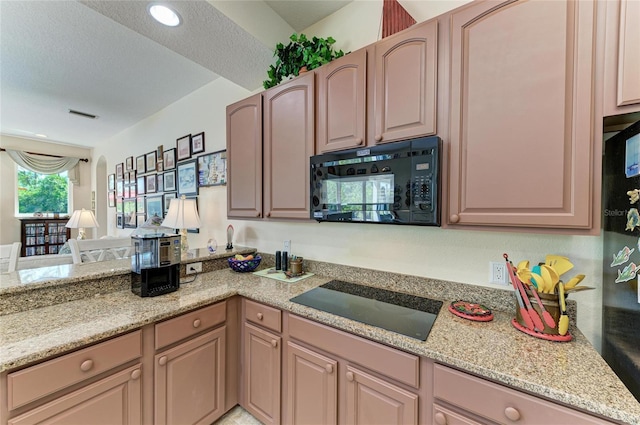 8136 Snowy Egret Pl, Bradenton, FL 34202 - kitchen with black appliances, light stone counters, recessed lighting, and a textured ceiling