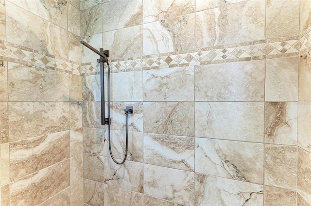 8136 Snowy Egret Pl, Bradenton, FL 34202 - bathroom view of tiled shower