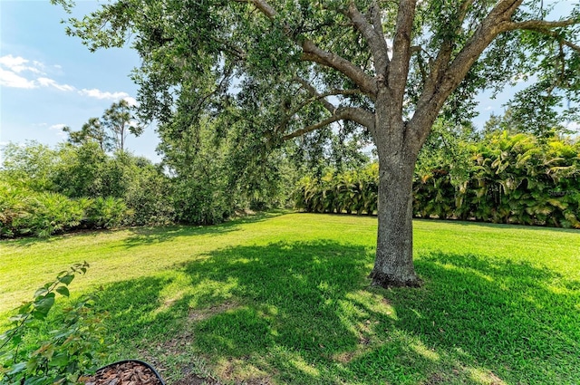 8136 Snowy Egret Pl, Bradenton, FL 34202 - view of grassy yard