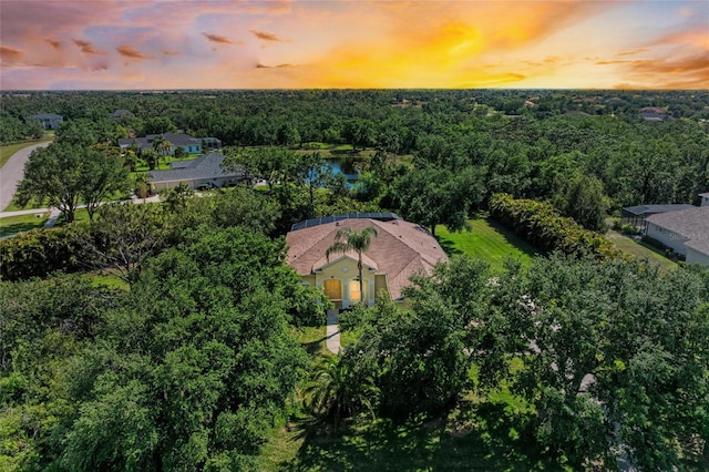 8136 Snowy Egret Pl, Bradenton, FL 34202 - bird's eye view of a heavily wooded area and a nearby body of water