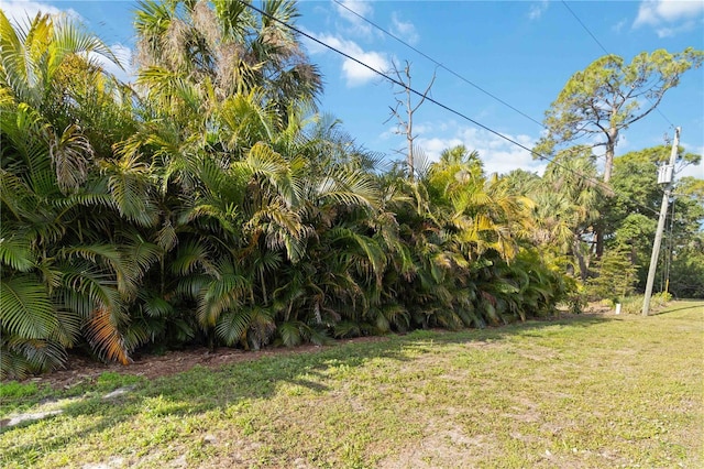 18033 Edgewater Dr, Port Charlotte, FL 33948 - view of yard