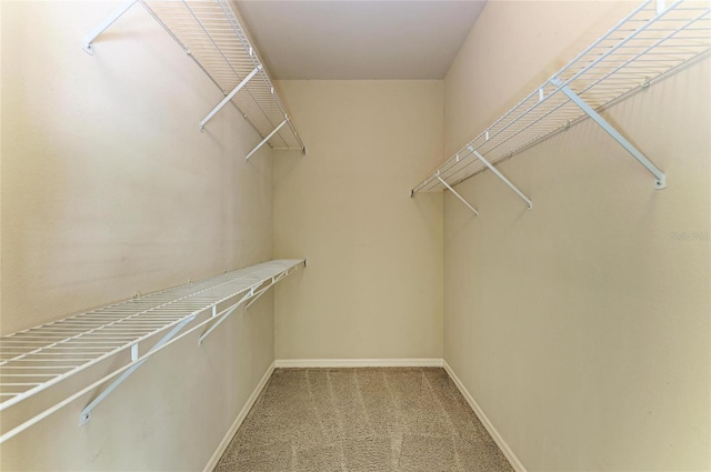spacious closet with carpet