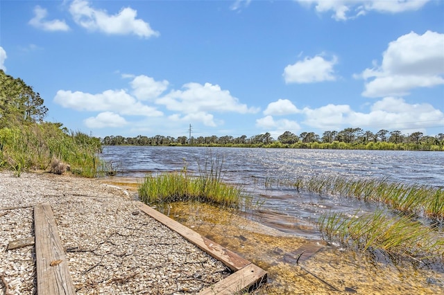 view of water feature