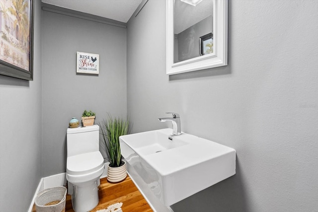 bathroom with a sink, toilet, and wood finished floors