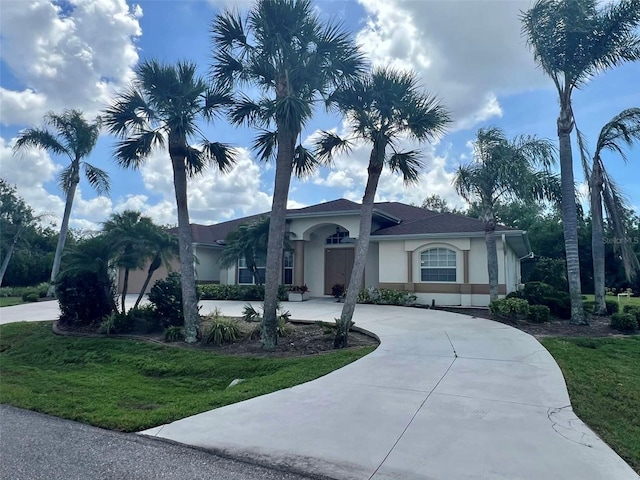 view of front facade with a front yard, stucco siding, and curved driveway