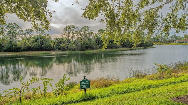 1085 Mallard Marsh Dr, Osprey, FL 34229 - water view