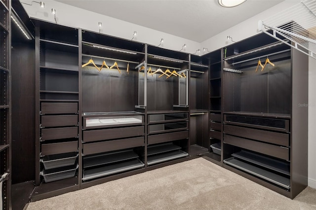 4712 Margutta Ct, Sarasota, FL 34240 - walk in closet with carpet flooring