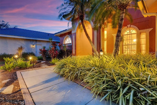 property entrance with stucco siding and a tile roof