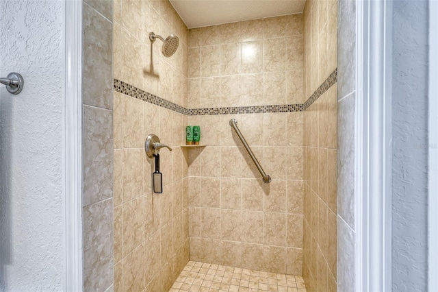 2605 Sunnybrook Dr, Sarasota, FL 34239 - full bath with a stall shower