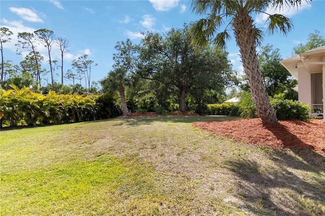 1860 Citron St, Punta Gorda, FL 33980 - view of yard