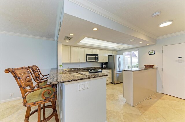 kitchen featuring a peninsula, stainless steel appliances, a raised ceiling, dark stone countertops, and a sink