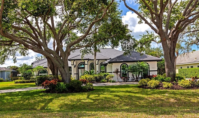 600 Eagle Watch Ln, Osprey, FL 34229 - view of front of home with stucco siding and a front yard