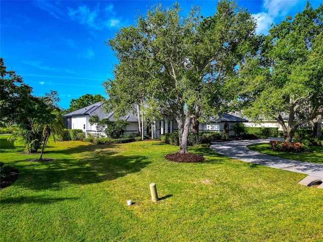 600 Eagle Watch Ln, Osprey, FL 34229 - view of property hidden behind natural elements featuring a front yard and driveway
