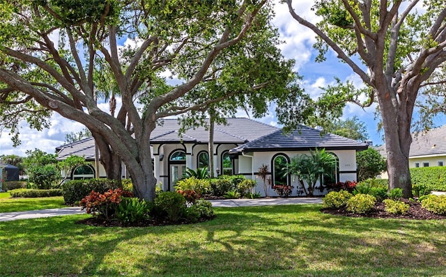 600 Eagle Watch Ln, Osprey, FL 34229 - view of front of home with a front lawn and stucco siding