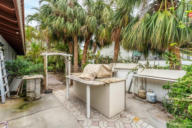 view of patio / terrace featuring fence and area for grilling