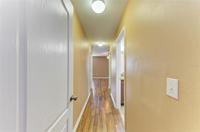 1912 Hawks View Dr, Ruskin, FL 33570 - corridor with a textured wall, baseboards, wood finished floors, and a textured ceiling