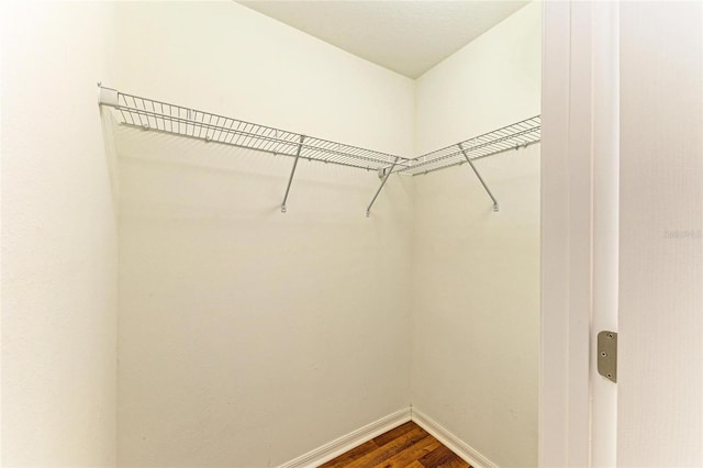1912 Hawks View Dr, Ruskin, FL 33570 - spacious closet with dark wood finished floors