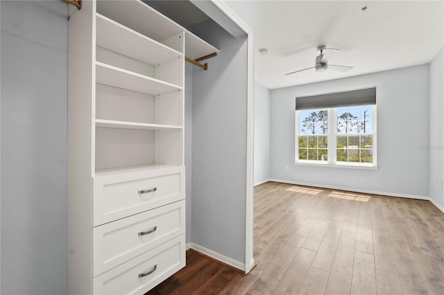spacious closet featuring dark wood-type flooring and ceiling fan