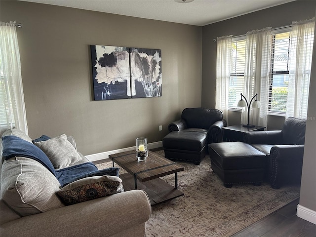 4622 Grand Lakeside Dr, Palm Harbor, FL 34684 - living area featuring baseboards and wood finished floors