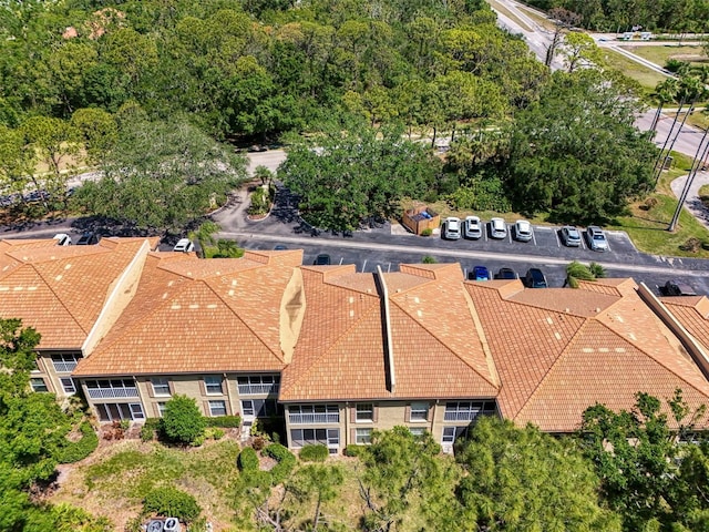 bird's eye view