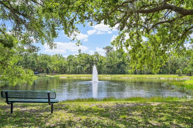 property view of water