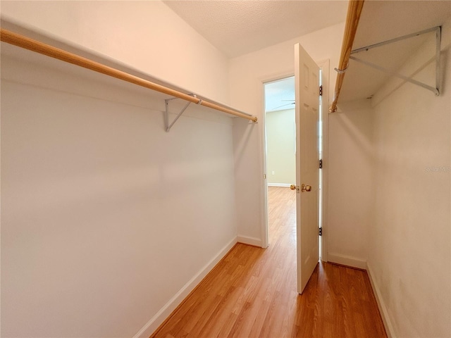spacious closet with light wood-style flooring