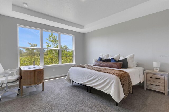 8355 Velda Trl, Sarasota, FL 34241 - carpeted bedroom featuring multiple windows and a raised ceiling