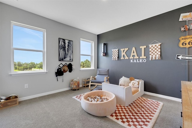 8355 Velda Trl, Sarasota, FL 34241 - living area with carpet flooring and baseboards