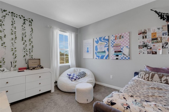 8355 Velda Trl, Sarasota, FL 34241 - carpeted bedroom with baseboards