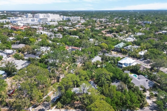 bird's eye view