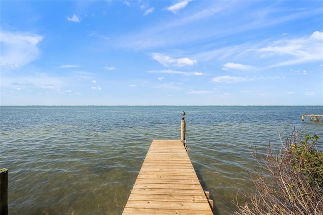 dock area with a water view