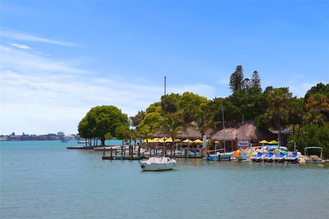 water view featuring a dock