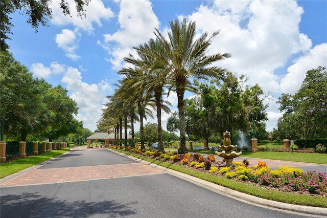 view of asphalt street with curbs
