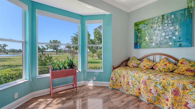 bedroom featuring wood finished floors, multiple windows, a water view, crown molding, and baseboards