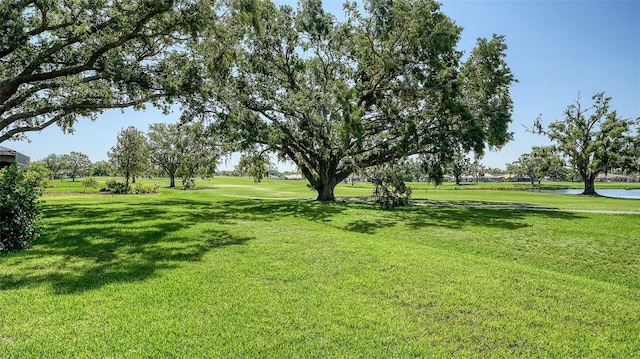 view of green lawn