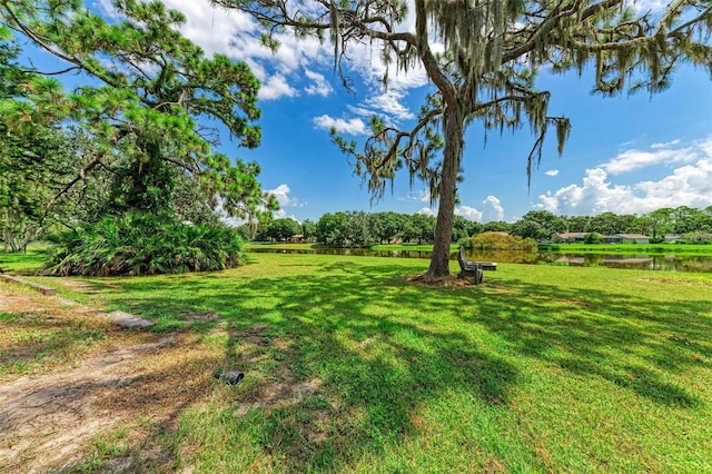 1103 134th St E, Bradenton, FL 34212 - view of green lawn with a water view