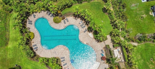 4010 Lindever Ln, Palmetto, FL 34221 - aerial view of a pool area