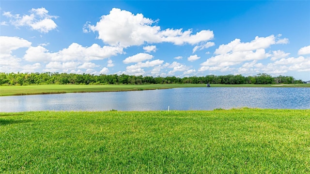 15722 San Lazzaro Ave, Lakewood Ranch, FL 34211 - view of water feature