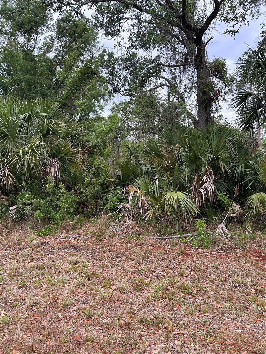 14066 Stanfield Ave, Port Charlotte, FL 33953