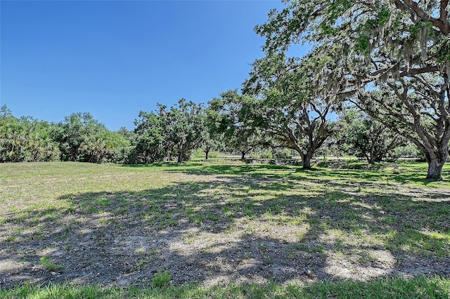 7200 Chameleon Way, Sarasota, FL 34241 - view of grassy yard